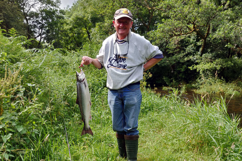 Argideen River Lodges – Holiday cottages in Ireland by the Argideen River.